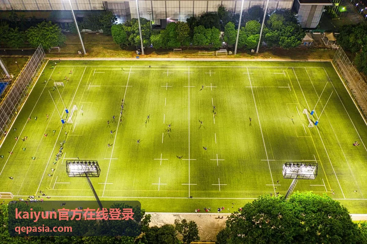 kaiyun官方在线登录账号安全说明配图