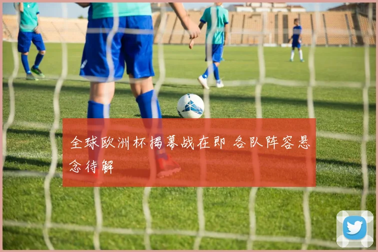 全球欧洲杯揭幕战在即 各队阵容悬念待解