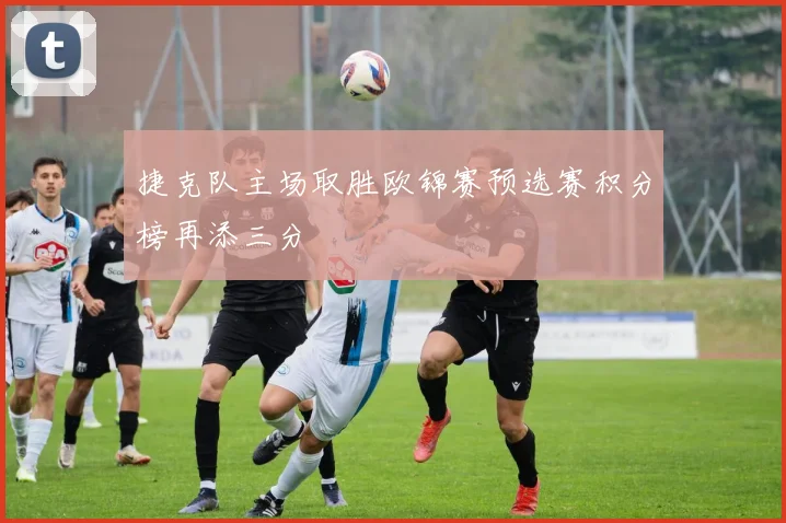 捷克队主场取胜欧锦赛预选赛积分榜再添三分