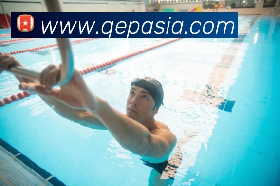 三亿体育·(中国)官方APP下载平台生态图